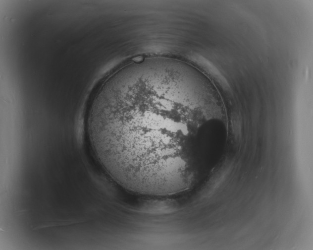 X0000101670488200807171339