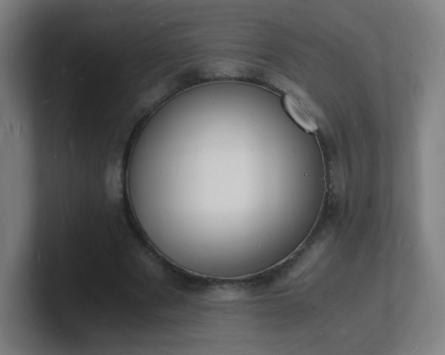 X0000101670489200807171339