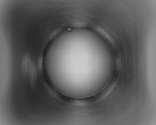 X0000101670490200807171339