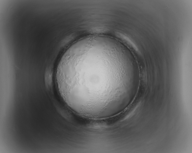 X0000101670491200807171339