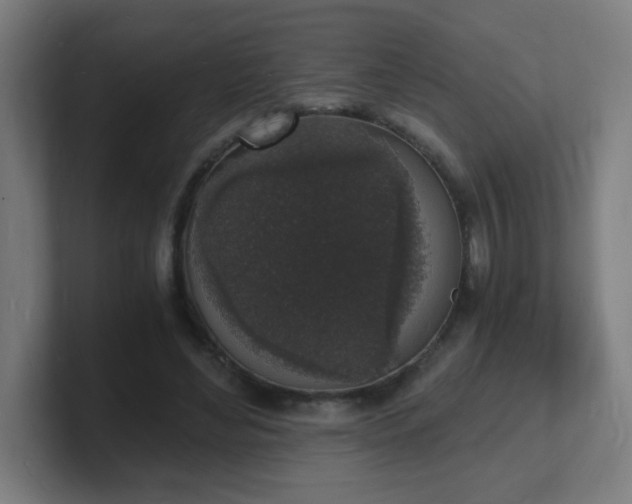 X0000101670492200807171339