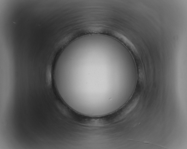 X0000101670493200807171339