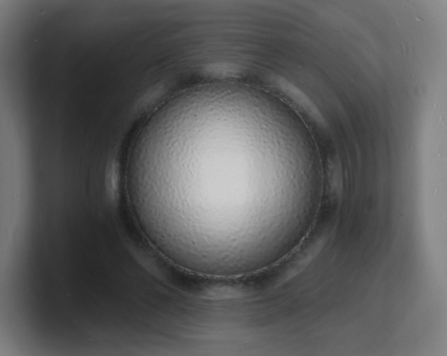 X0000101670494200807171339