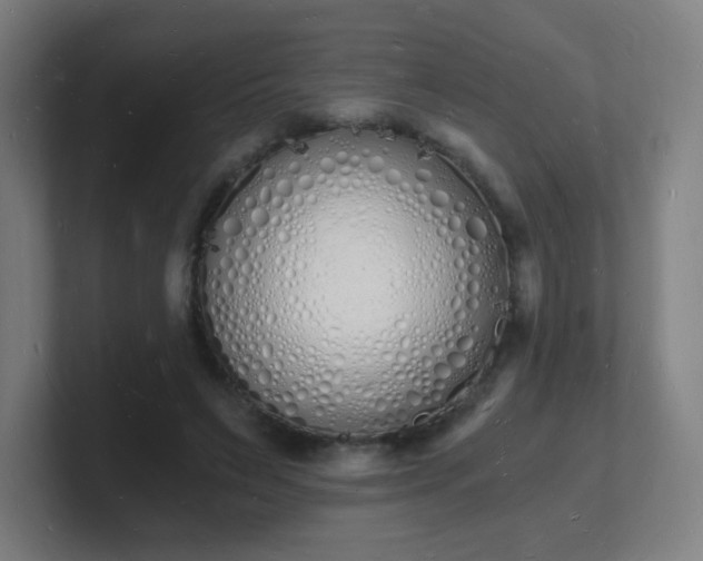X0000101670495200807171339