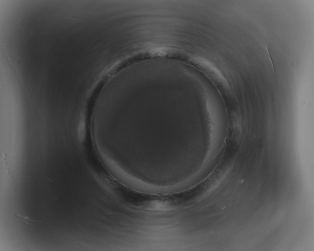 X0000101670496200807171339