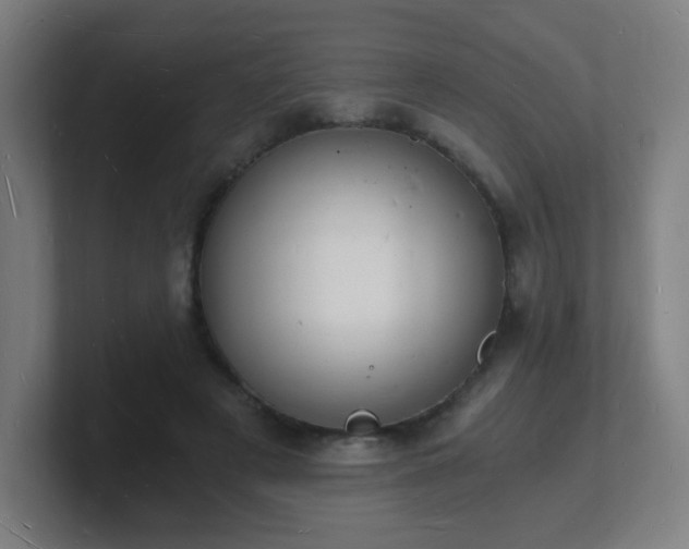 X0000101670497200807171339