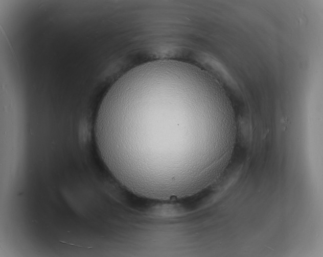 X0000101670499200807171339
