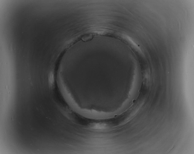 X0000101670500200807171339