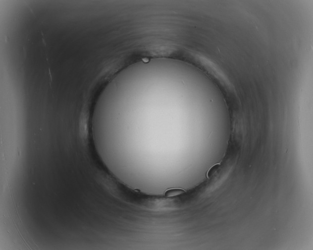 X0000101670501200807171339