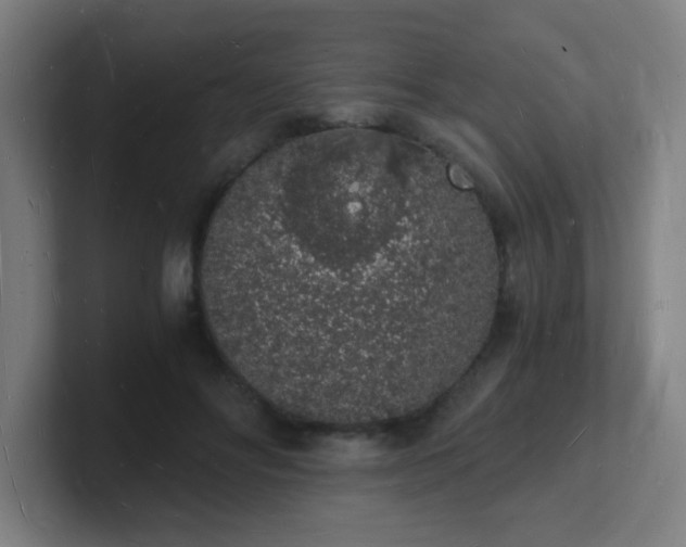 X0000101670502200807171339