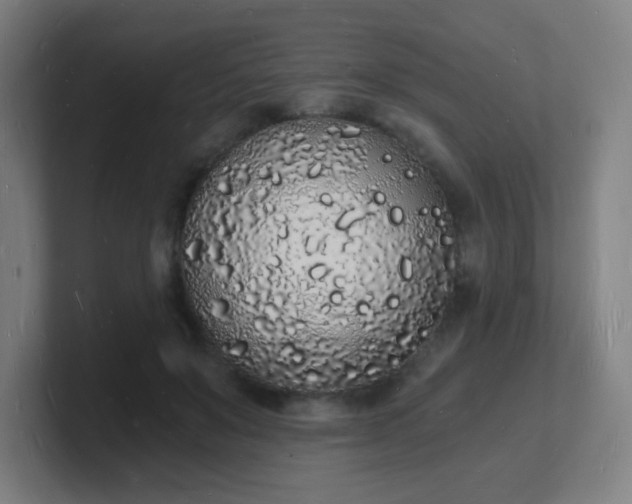 X0000101670503200807171339