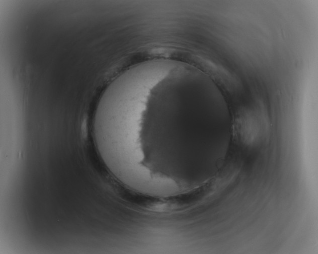 X0000101670504200807171339