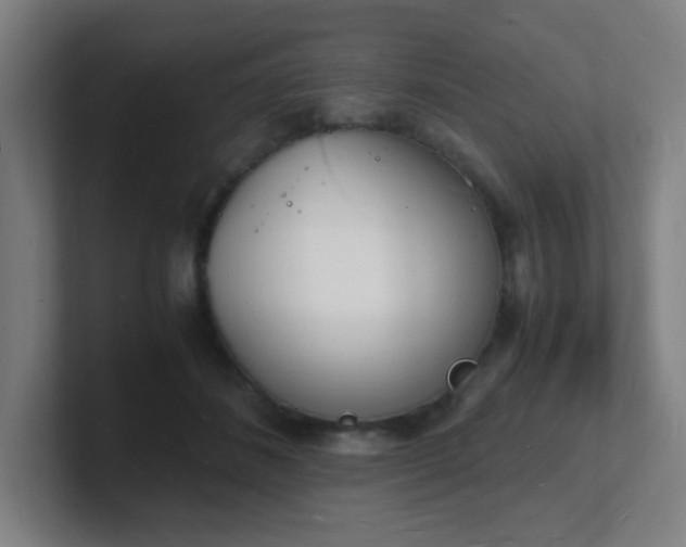 X0000101670508200807171339