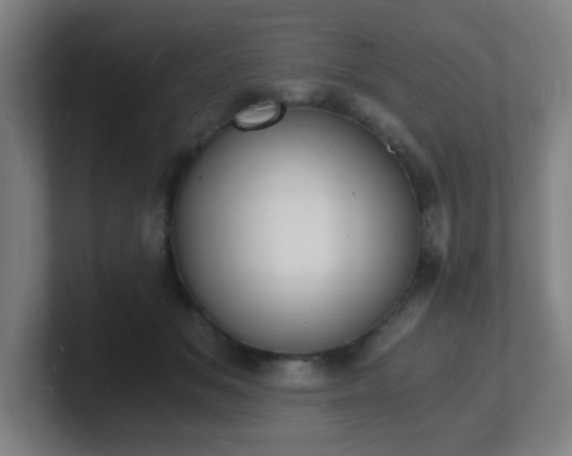 X0000101670509200807171339