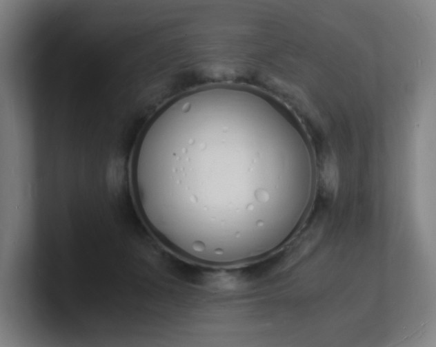 X0000101670511200807171339