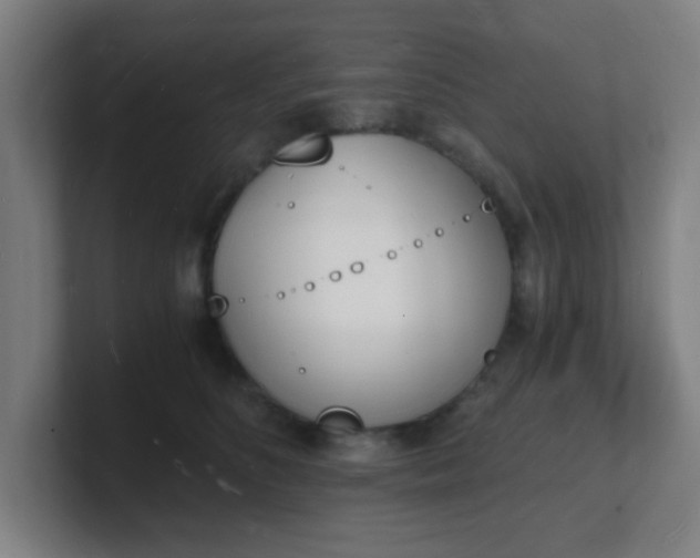 X0000101670516200807171338