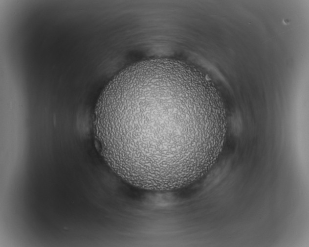X0000101670517200807171338