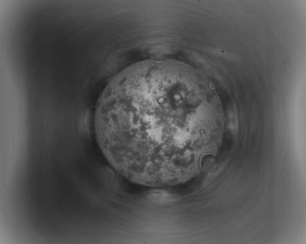 X0000101670519200807171338