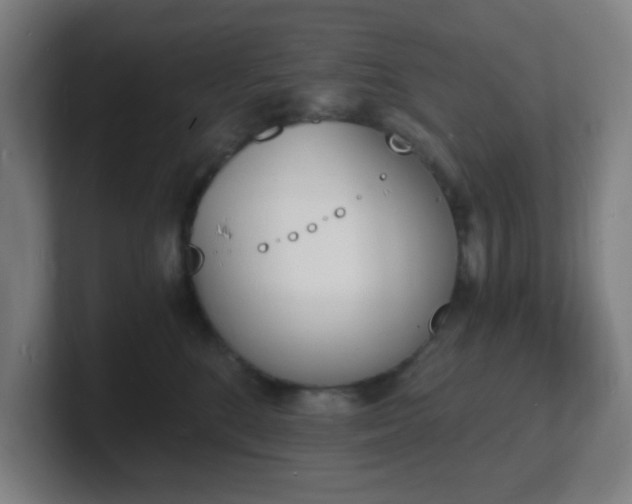 X0000101670520200807171338