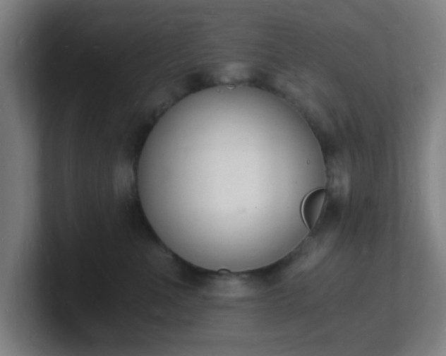 X0000101670523200807171338