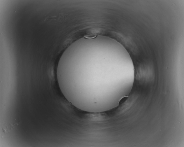X0000101670524200807171338