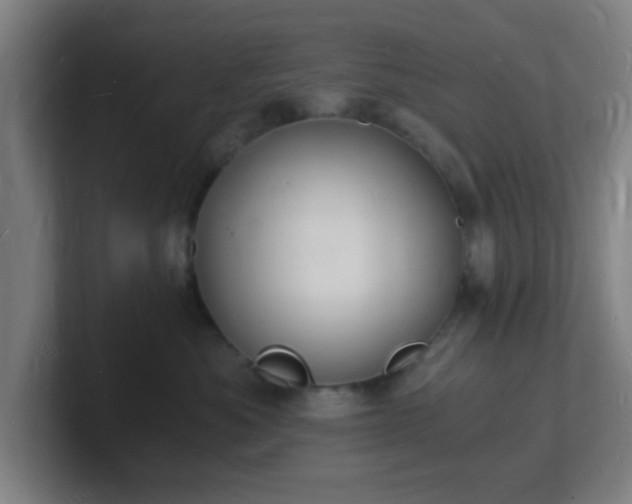 X0000101670525200807171338