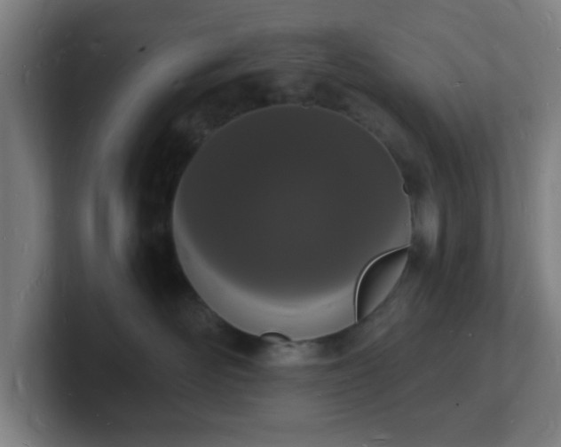 X0000101670526200807171338