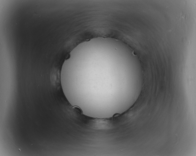 X0000101670528200807171338