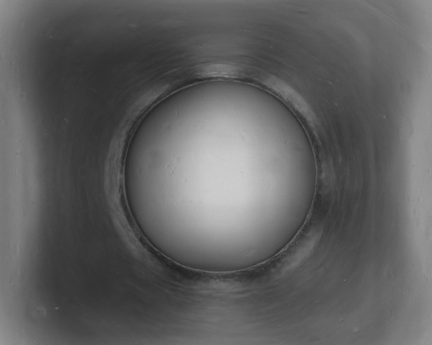 X0000101670529200807171338