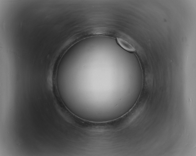 X0000101670530200807171338