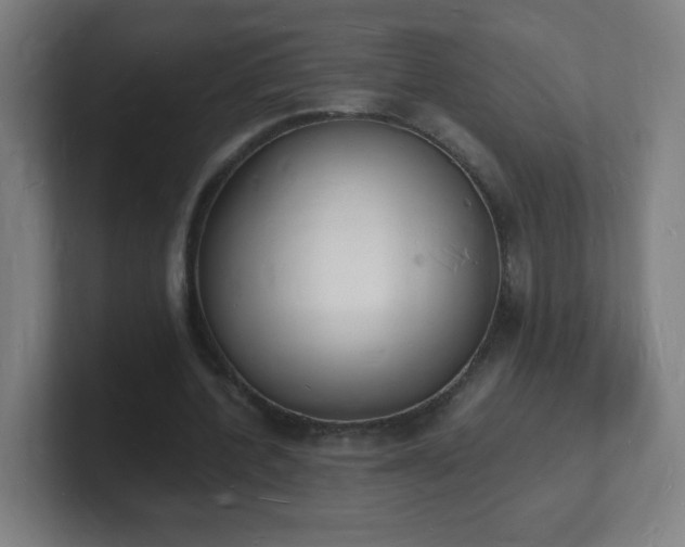X0000101670532200807171338