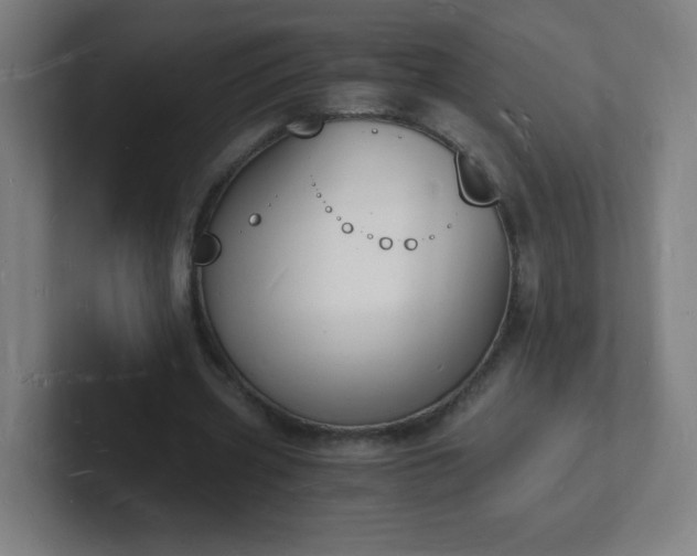 X0000101670533200807171338