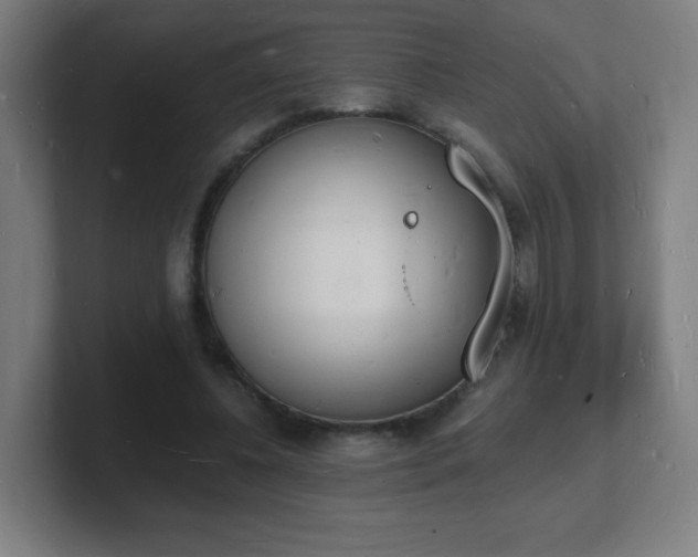 X0000101670540200807171338