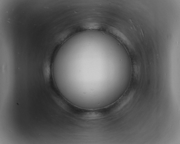 X0000101670541200807171338