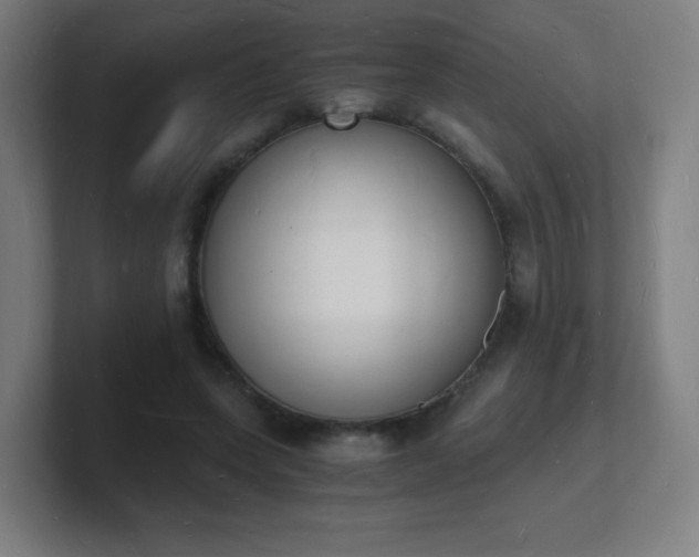 X0000101670543200807171338