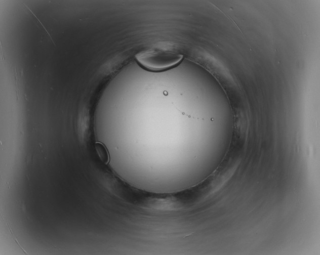 X0000101670548200807171338