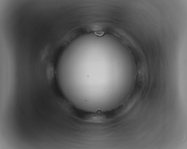 X0000101670555200807171338