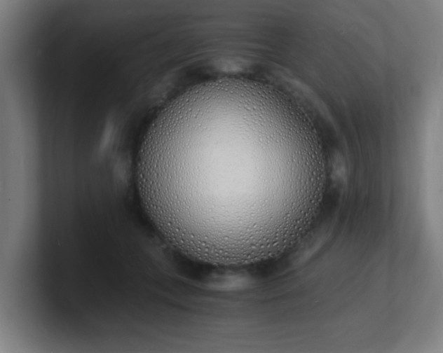 X0000101670559200807171338