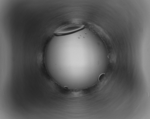 X0000101670560200807171338