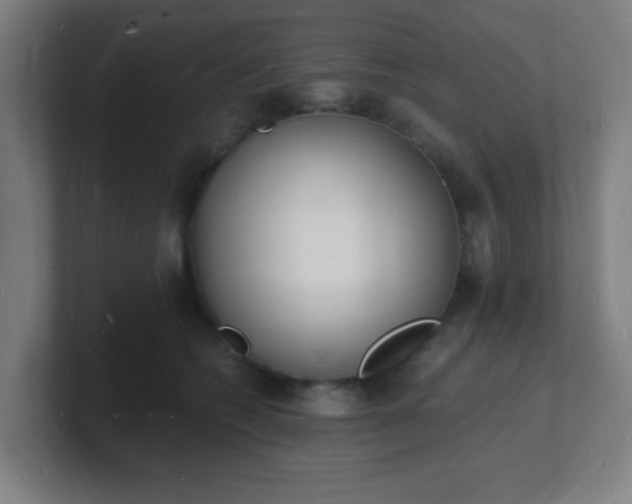 X0000101670562200807171338