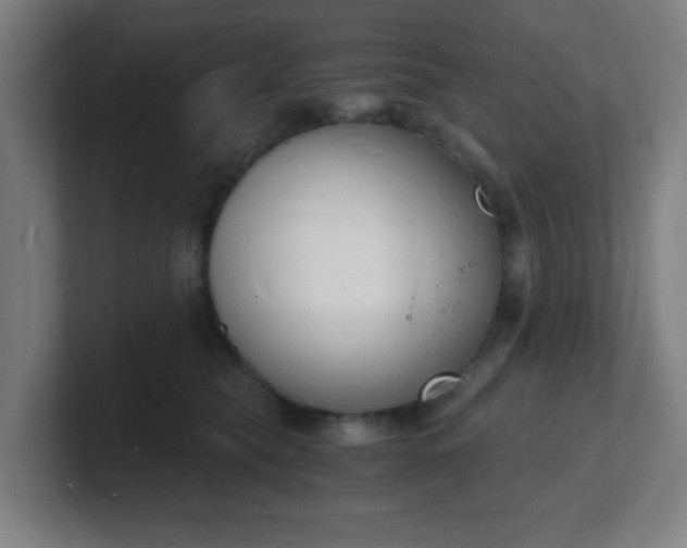 X0000101670565200807171338