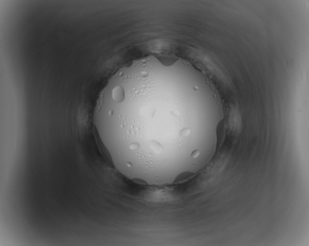 X0000101670569200807171338