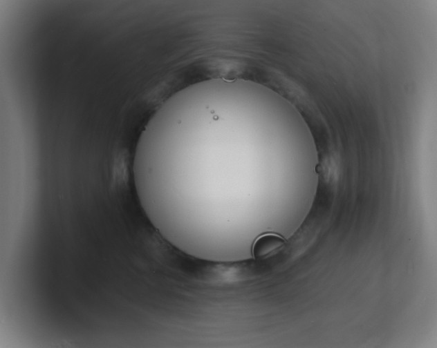 X0000101670570200807171338