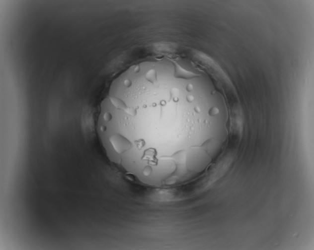 X0000101670573200807171338