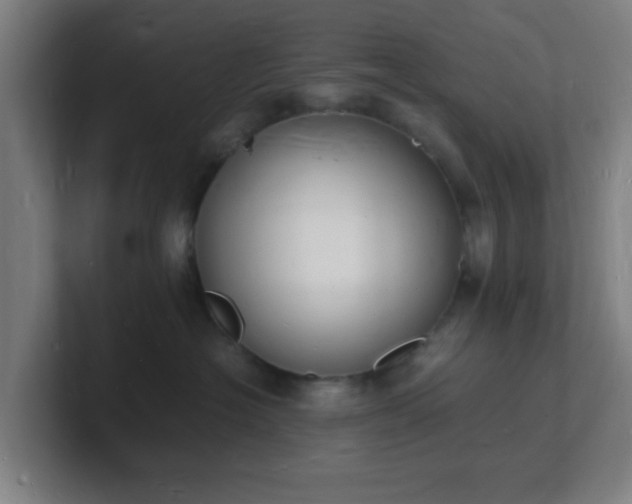 X0000101670574200807171338