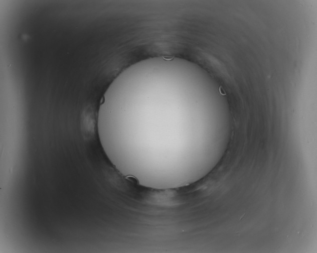 X0000101670576200807171338