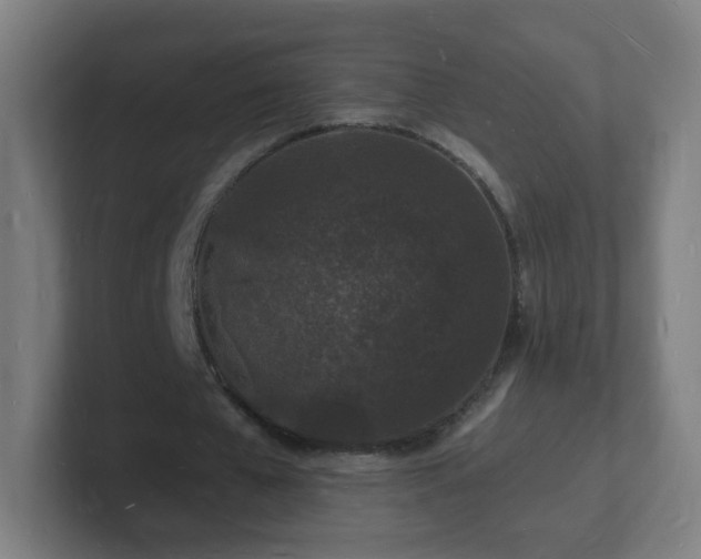 X0000101670577200807171338