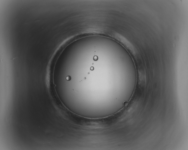 X0000101670580200807171338