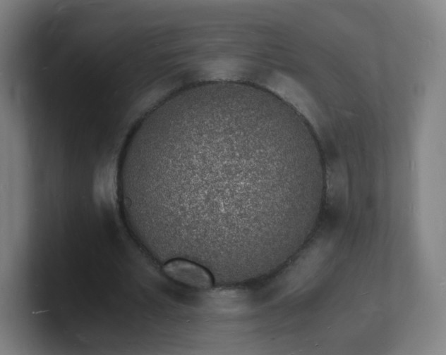 X0000101670581200807171338