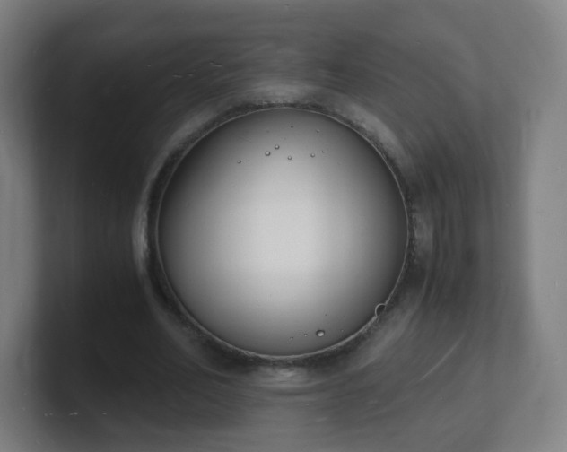 X0000101670582200807171338